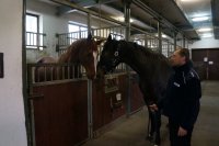 Gladius - Nowy koń w chorzowskiej Policji
